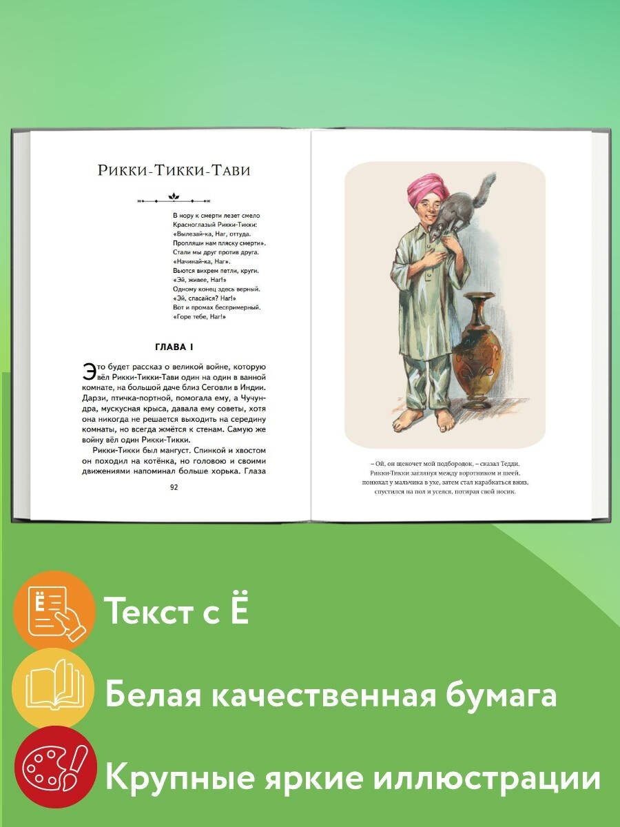 Изображение бумажной книги