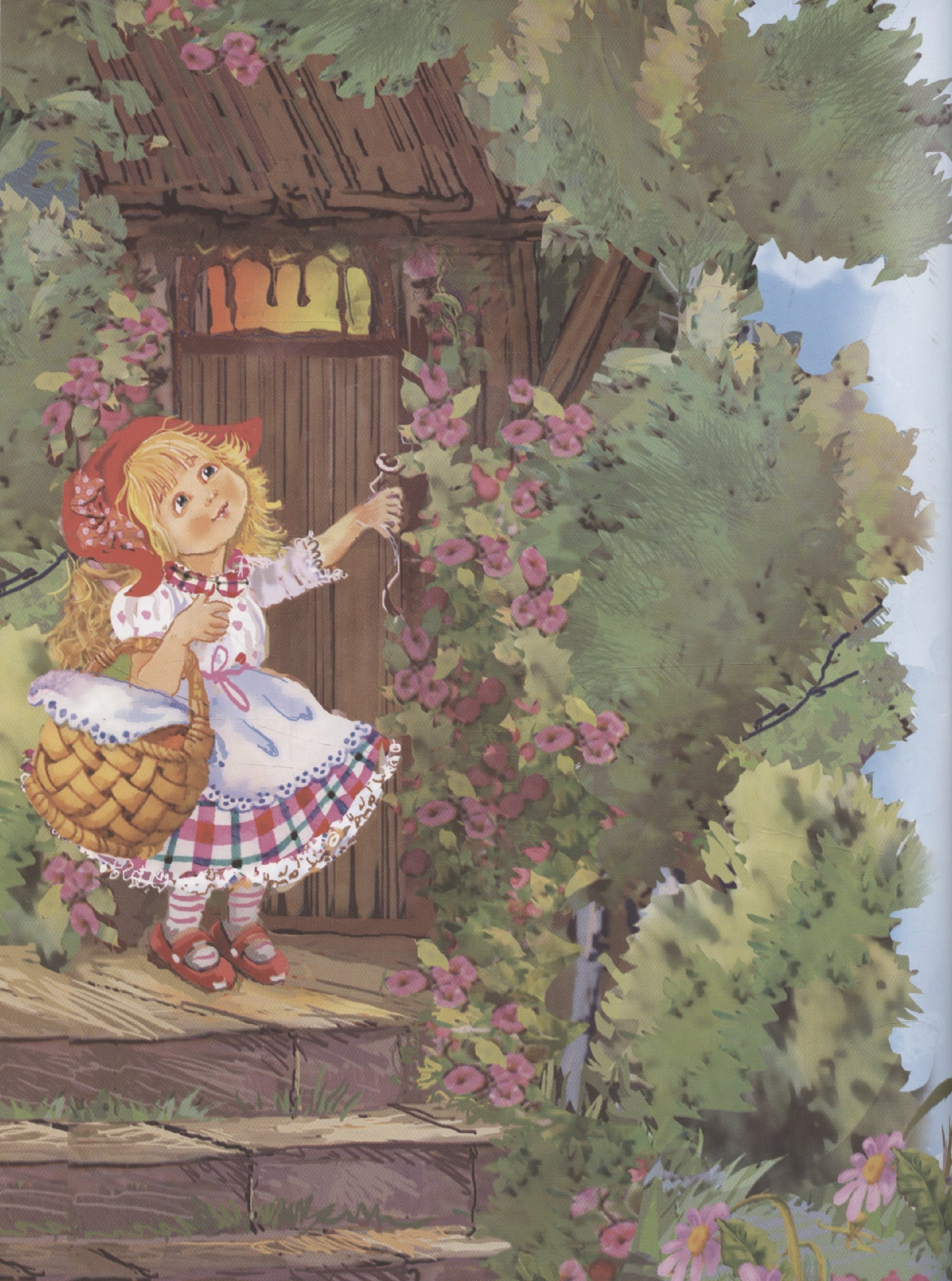 Изображение бумажной книги