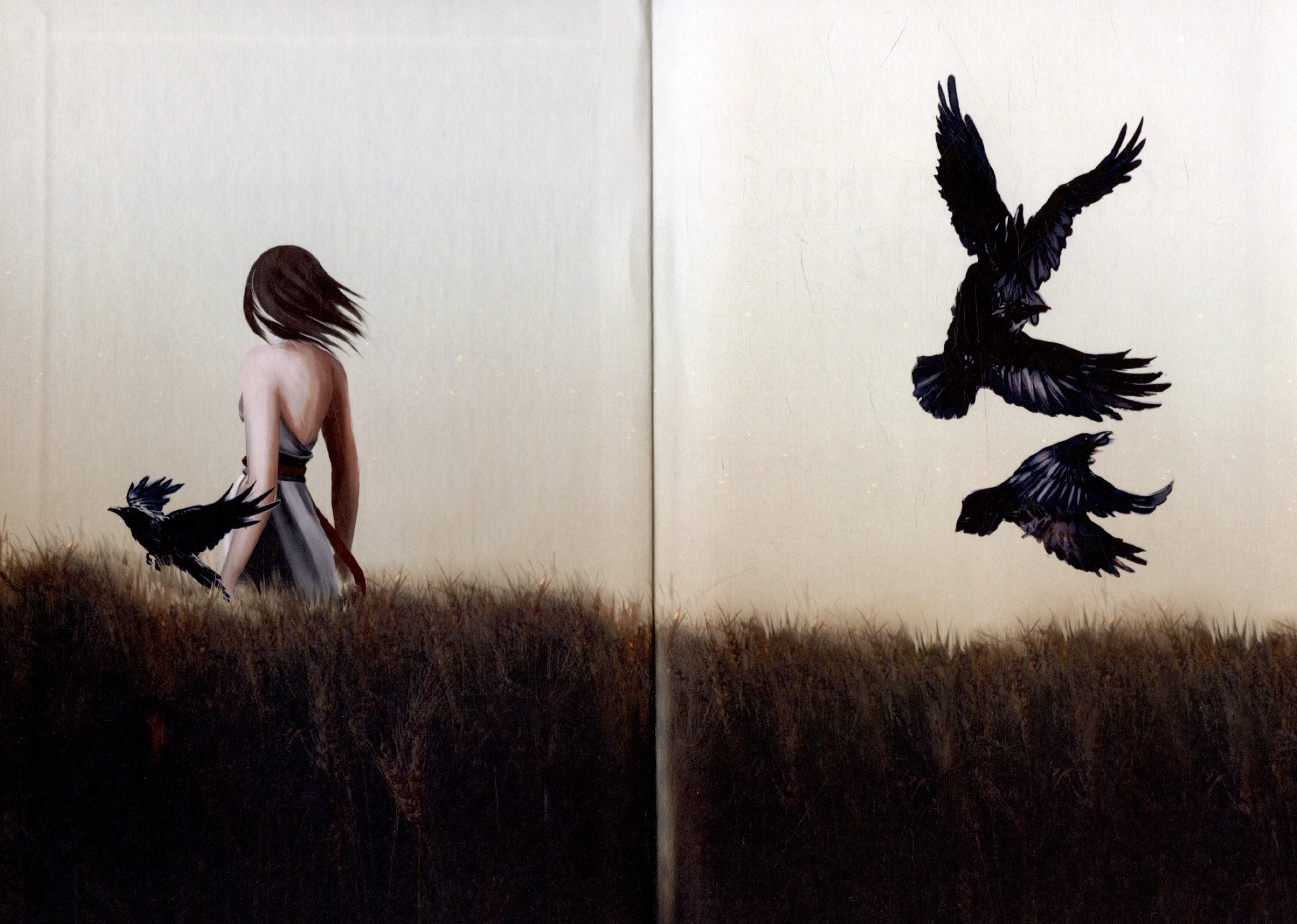 Изображение бумажной книги