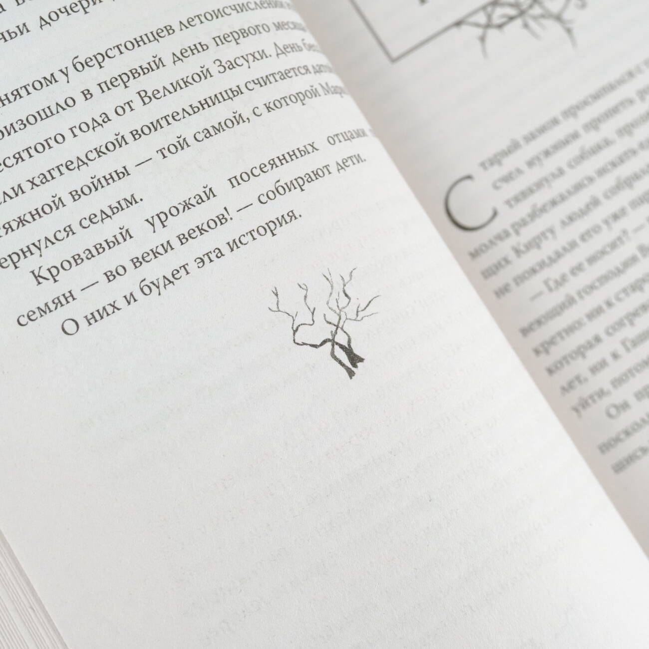 Изображение бумажной книги