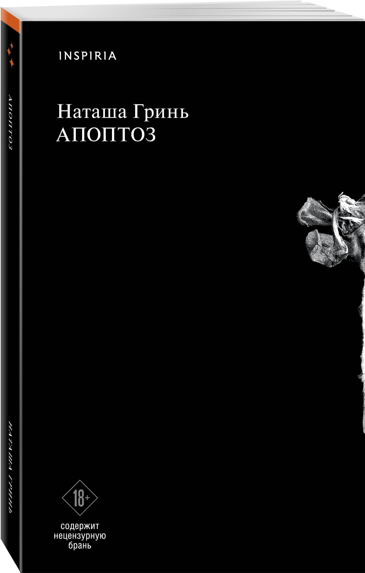 Изображение бумажной книги