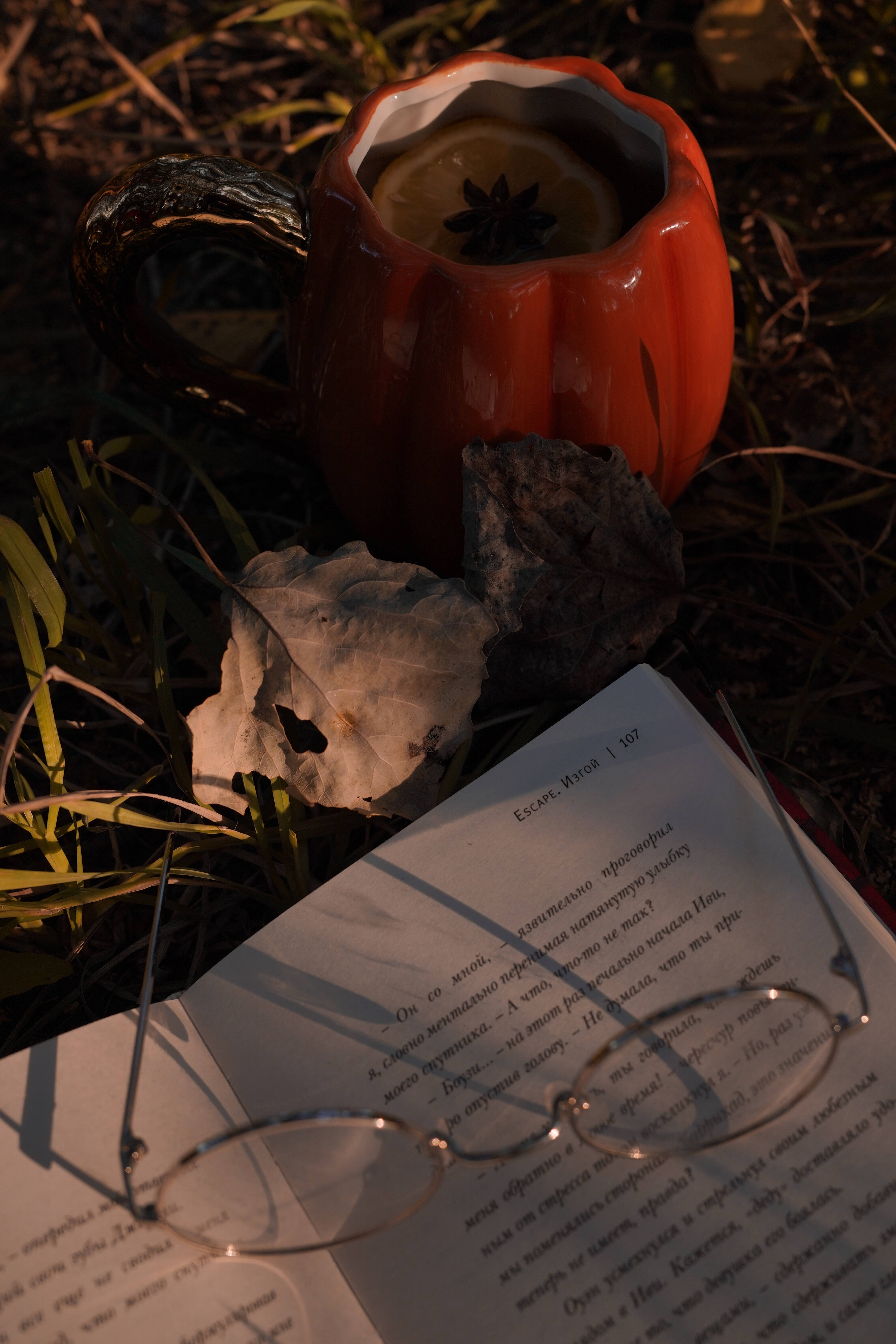 Изображение бумажной книги