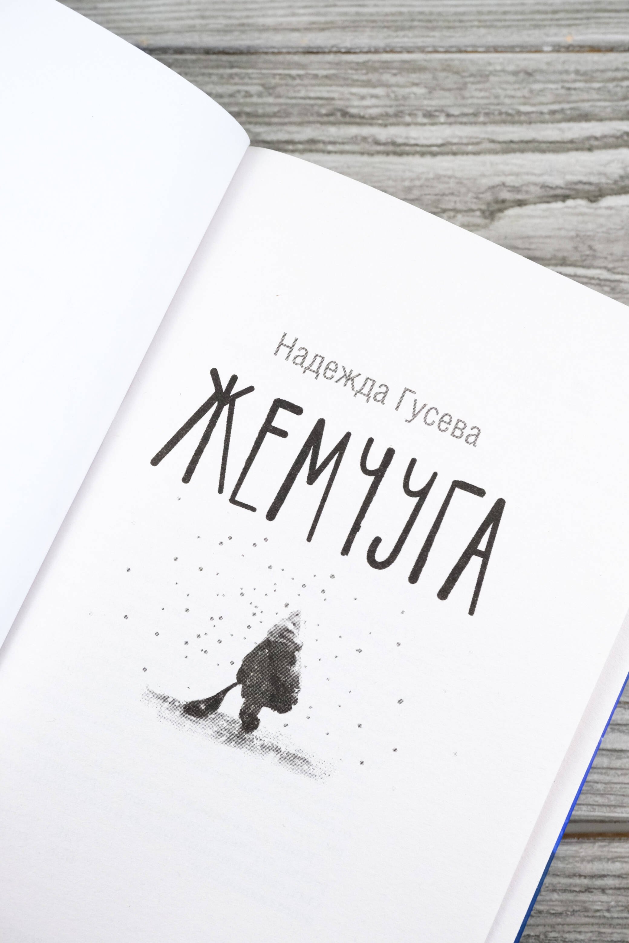 Изображение бумажной книги