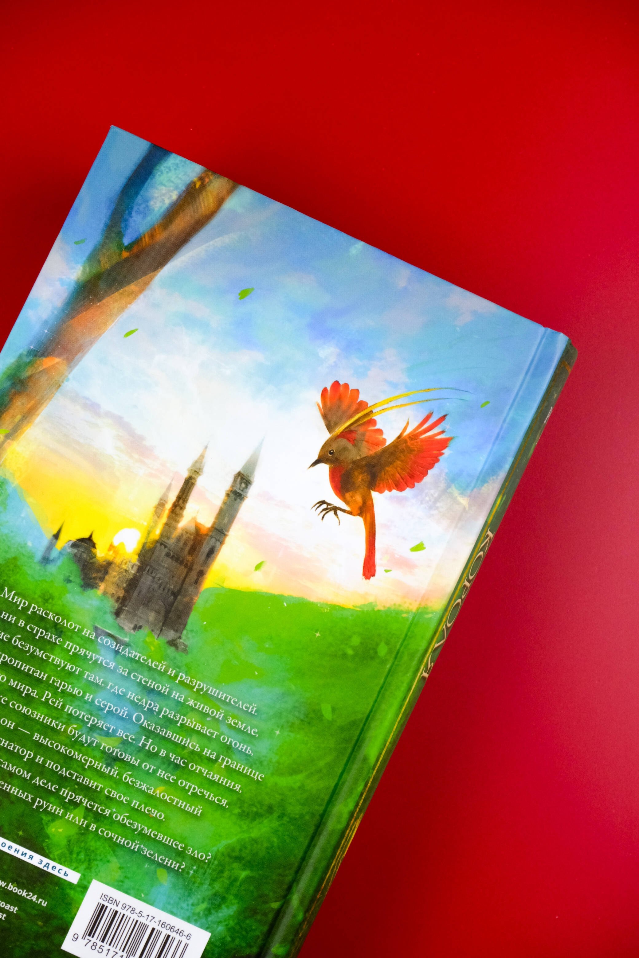 Изображение бумажной книги