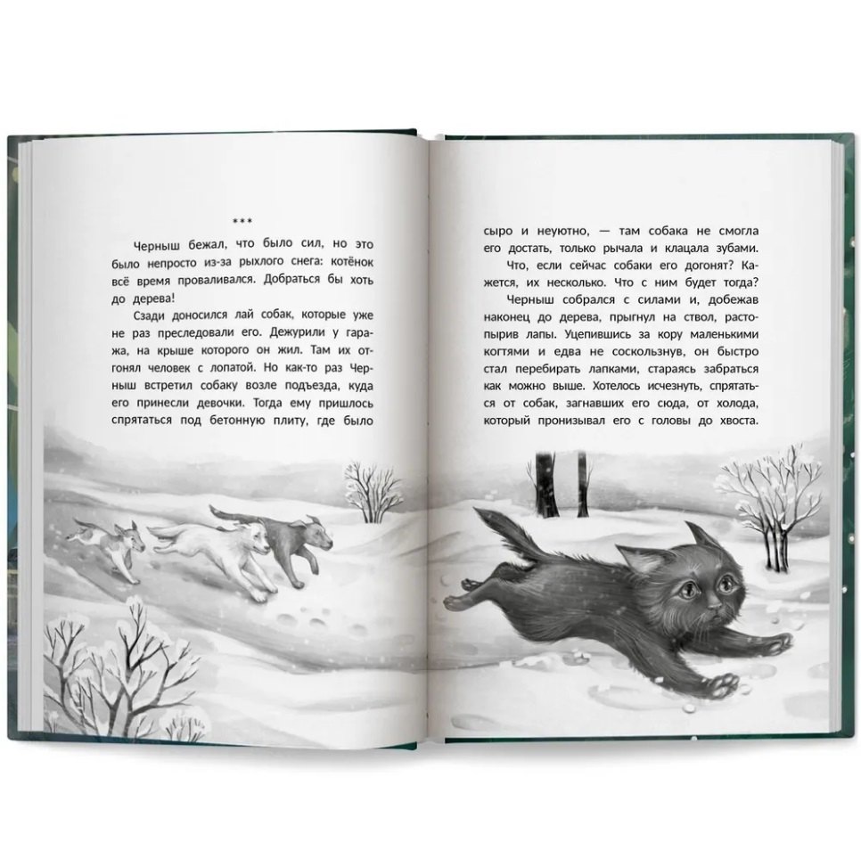 Изображение бумажной книги