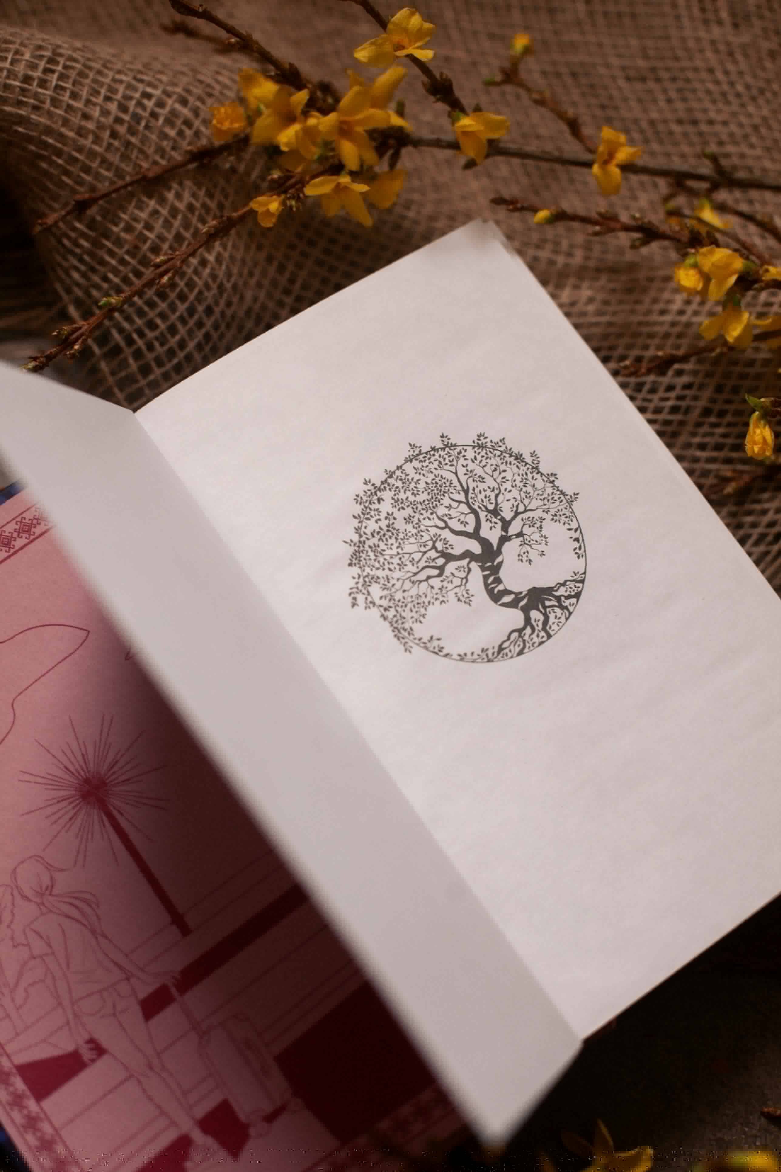 Изображение бумажной книги