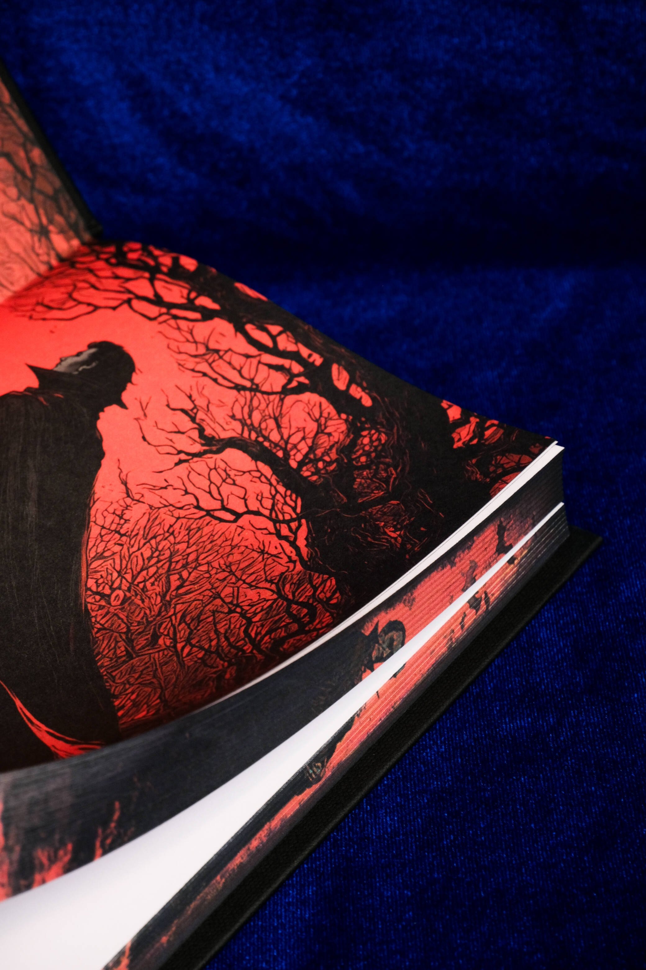 Изображение бумажной книги