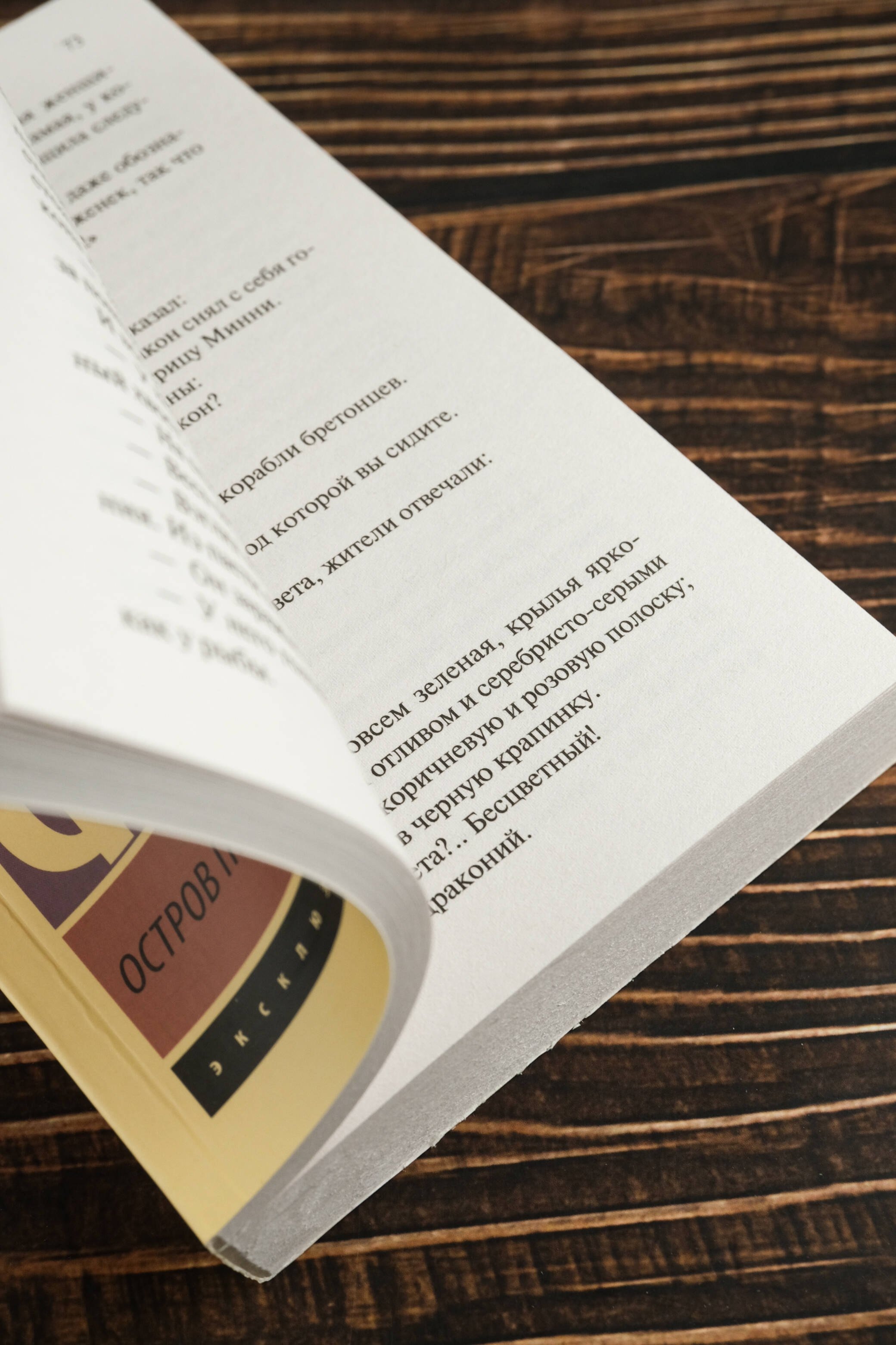 Изображение бумажной книги