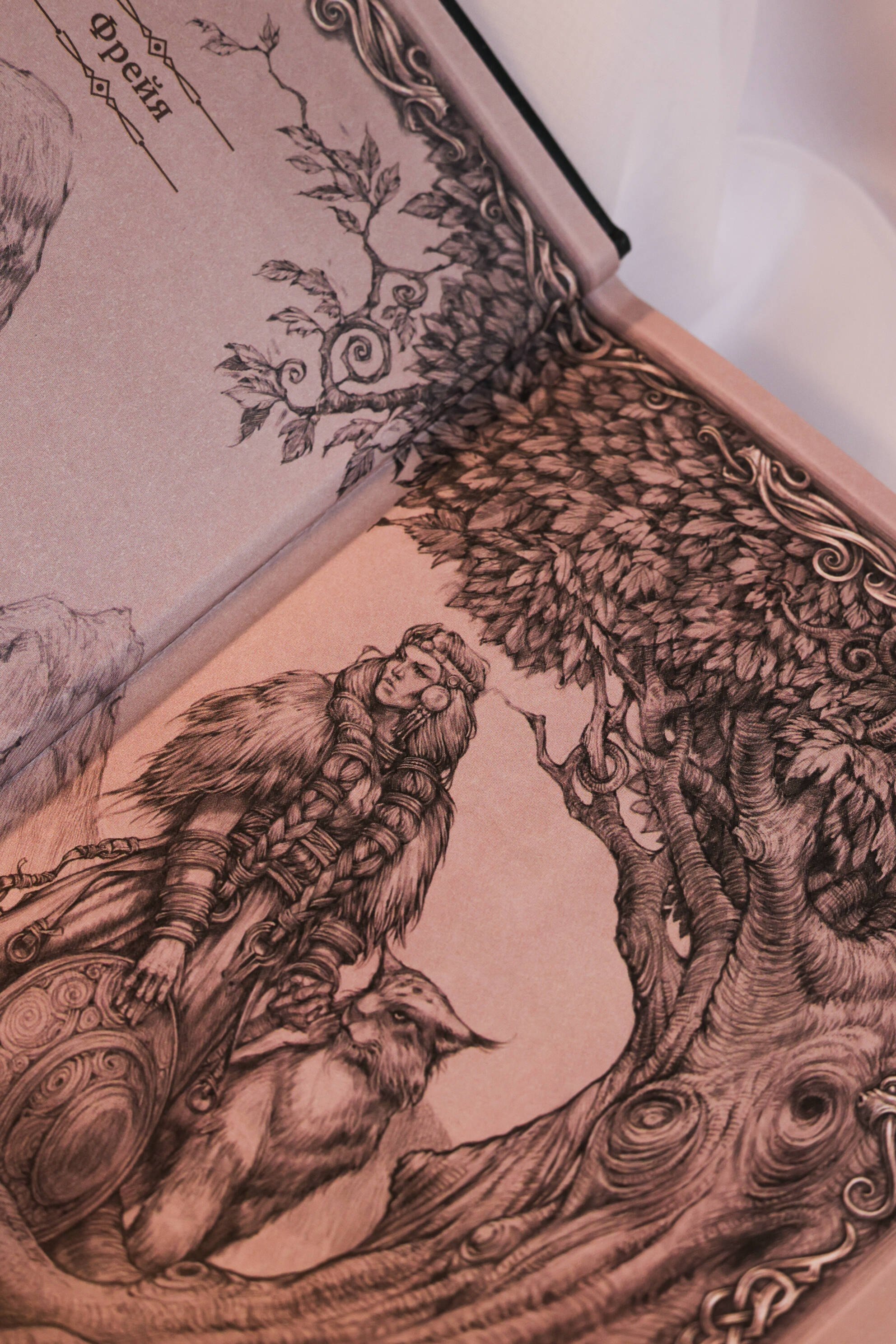 Изображение бумажной книги