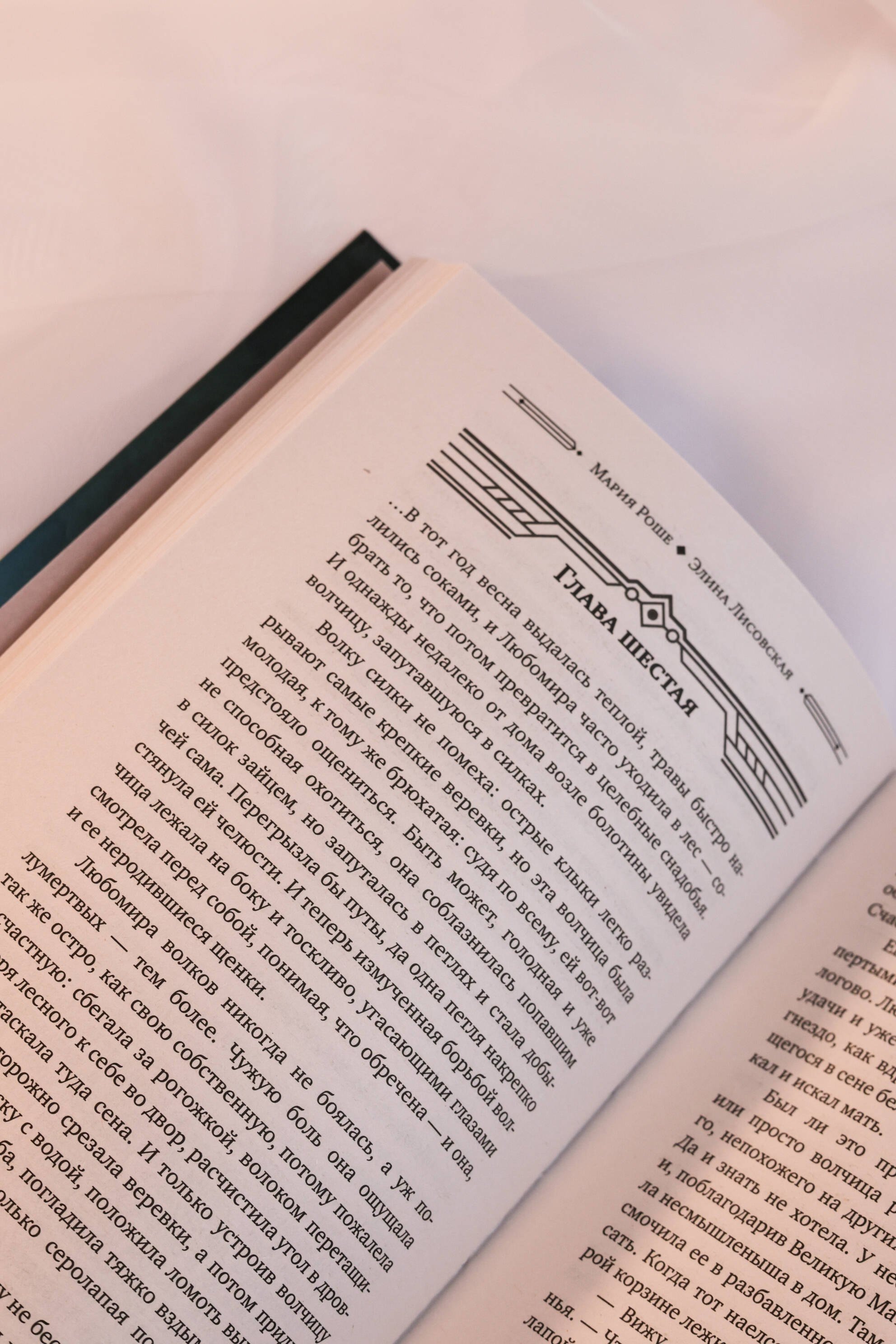 Изображение бумажной книги