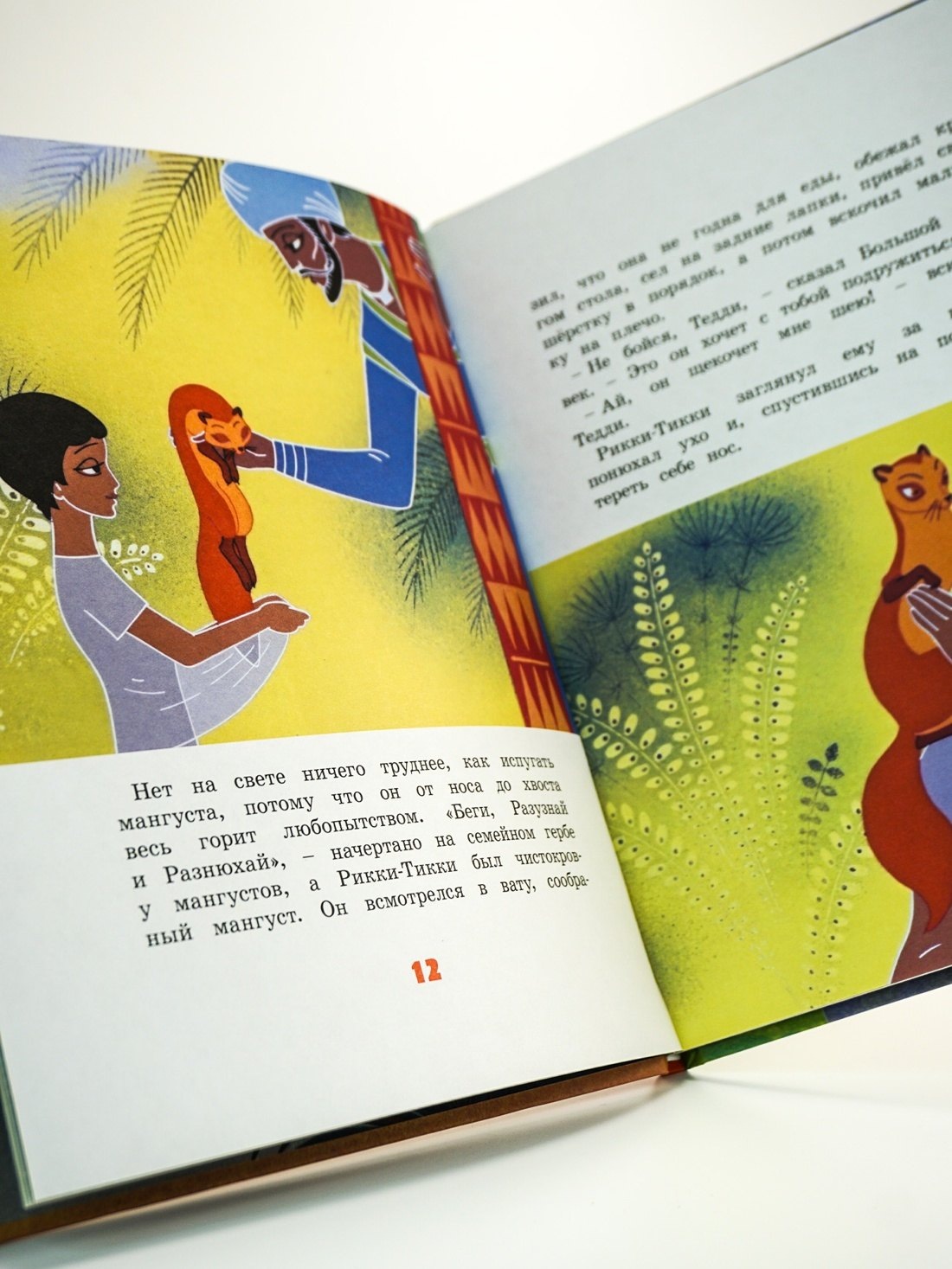 Изображение бумажной книги