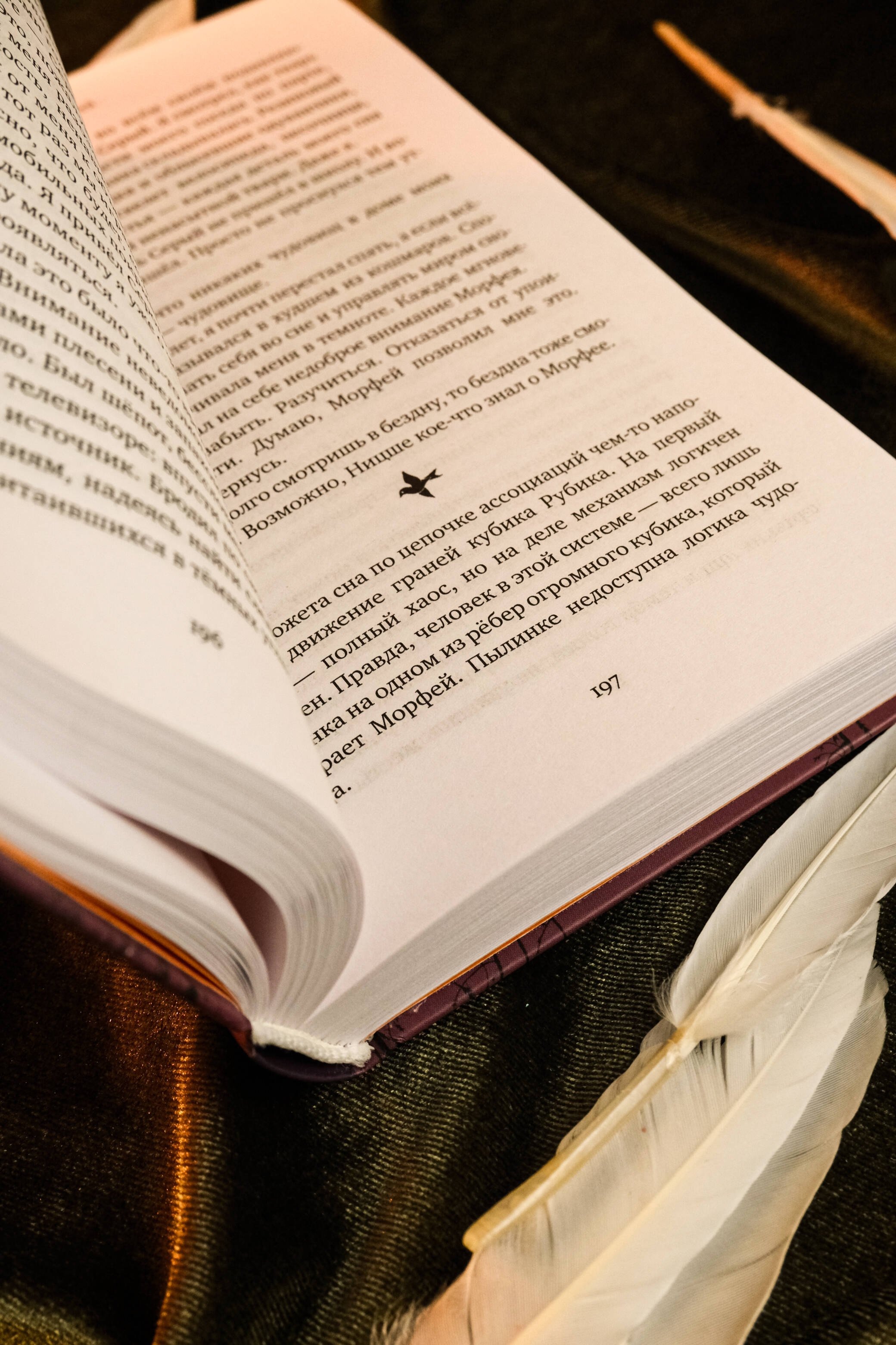 Изображение бумажной книги