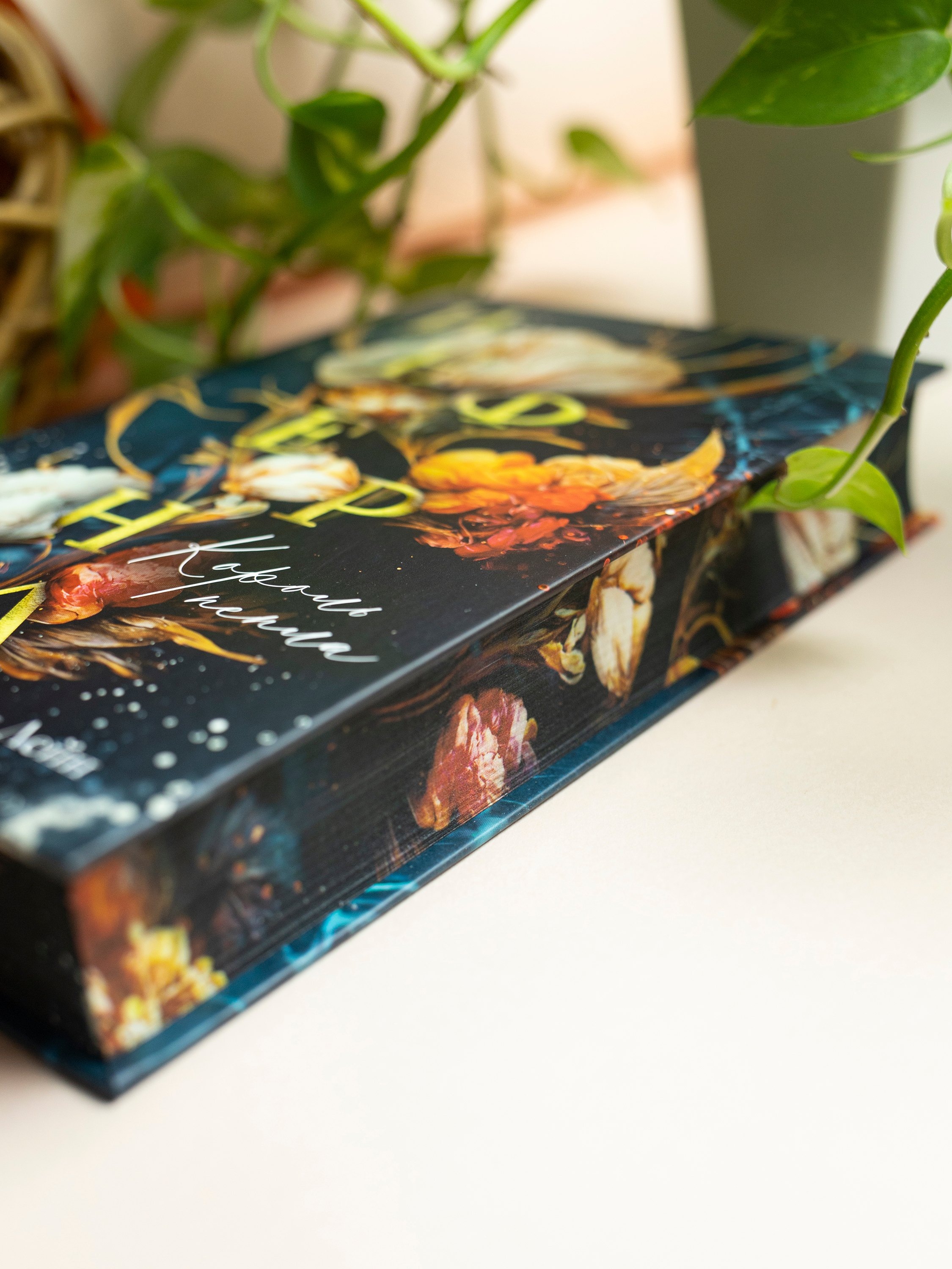 Изображение бумажной книги