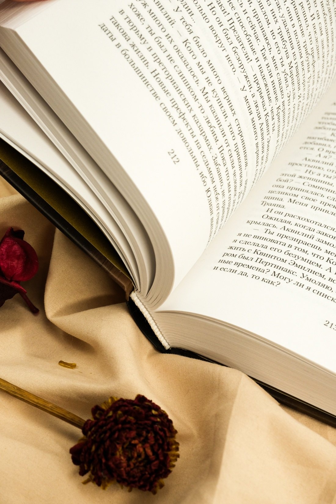 Изображение бумажной книги