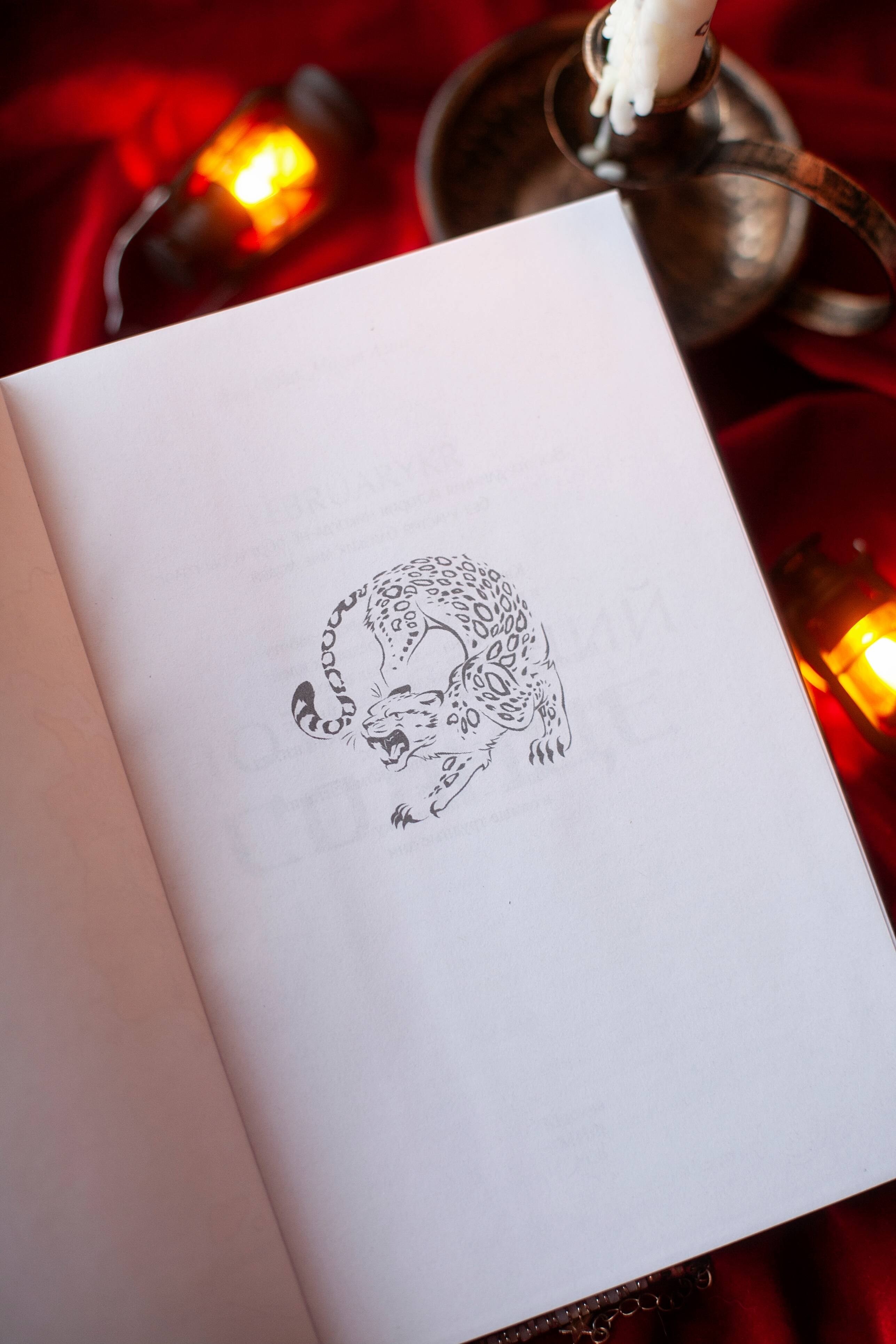 Изображение бумажной книги