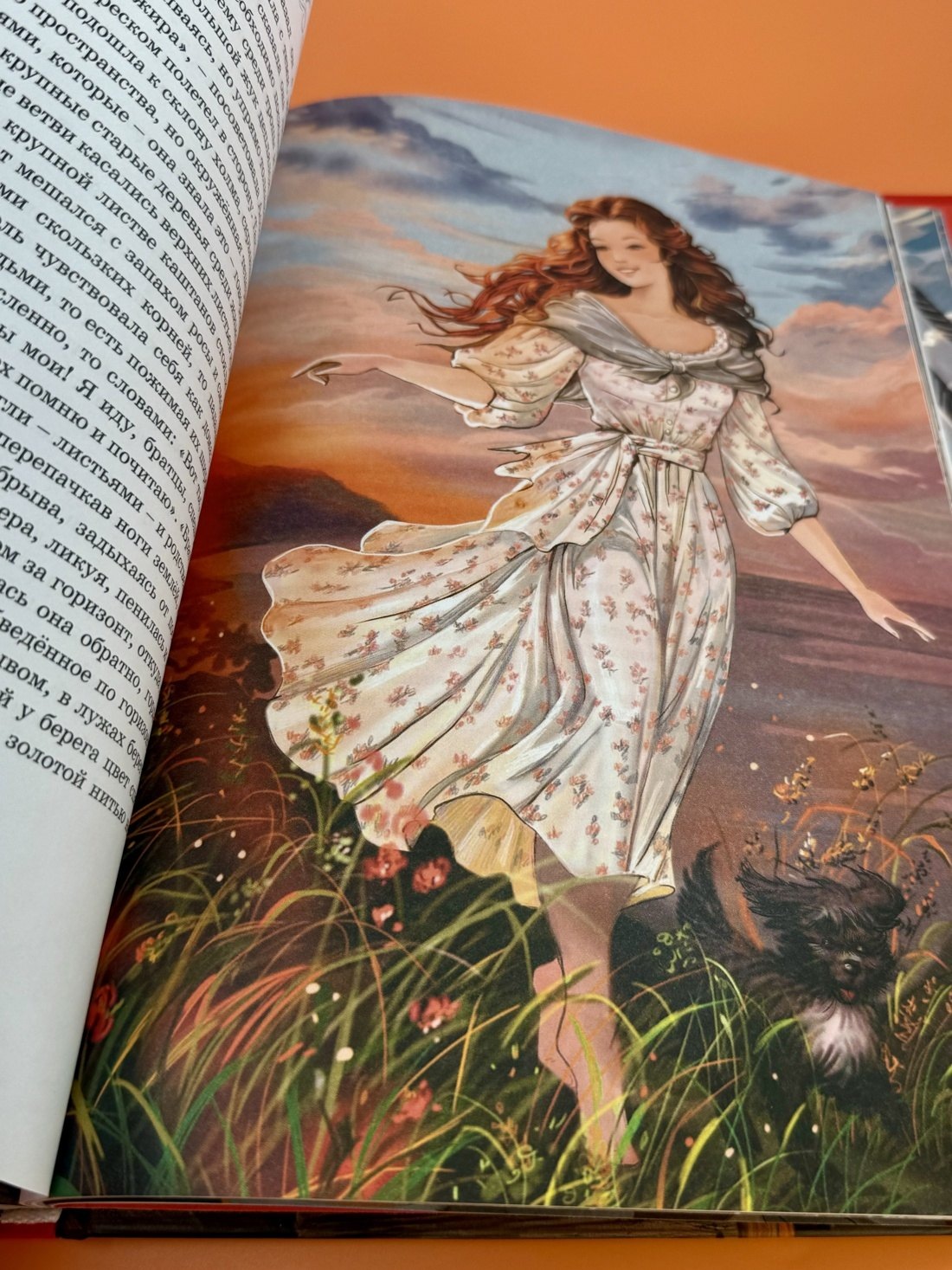 Изображение бумажной книги