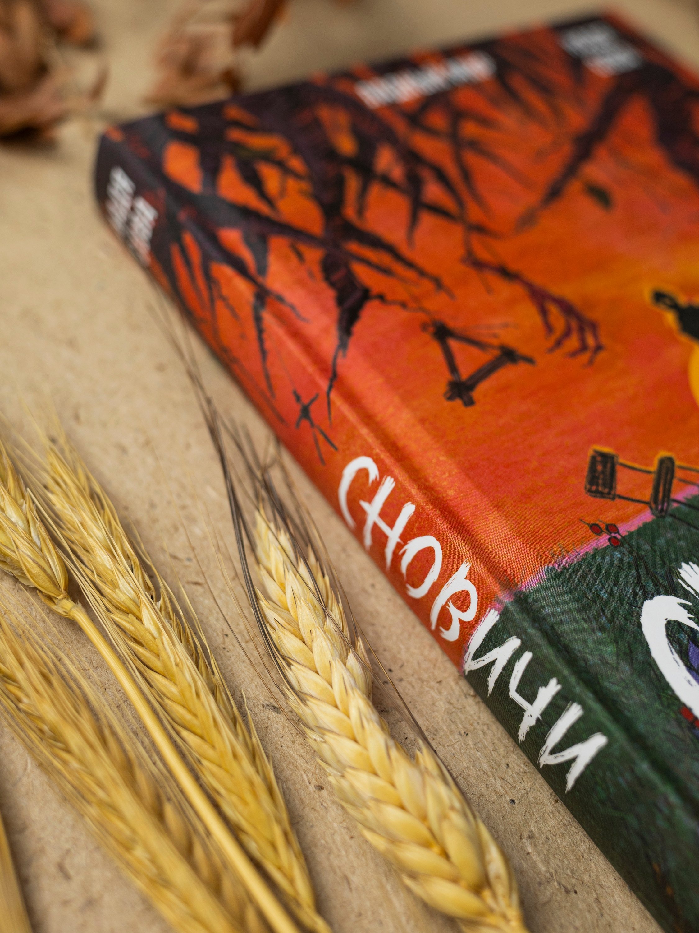 Изображение бумажной книги