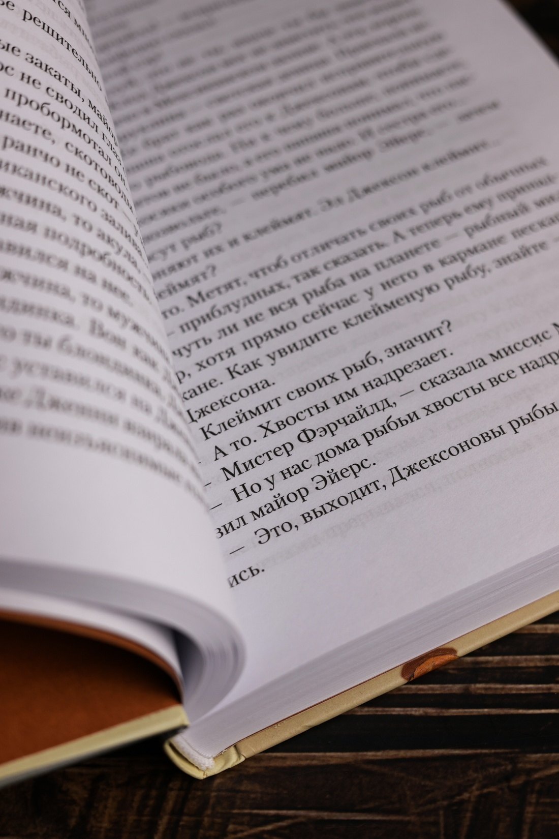 Изображение бумажной книги