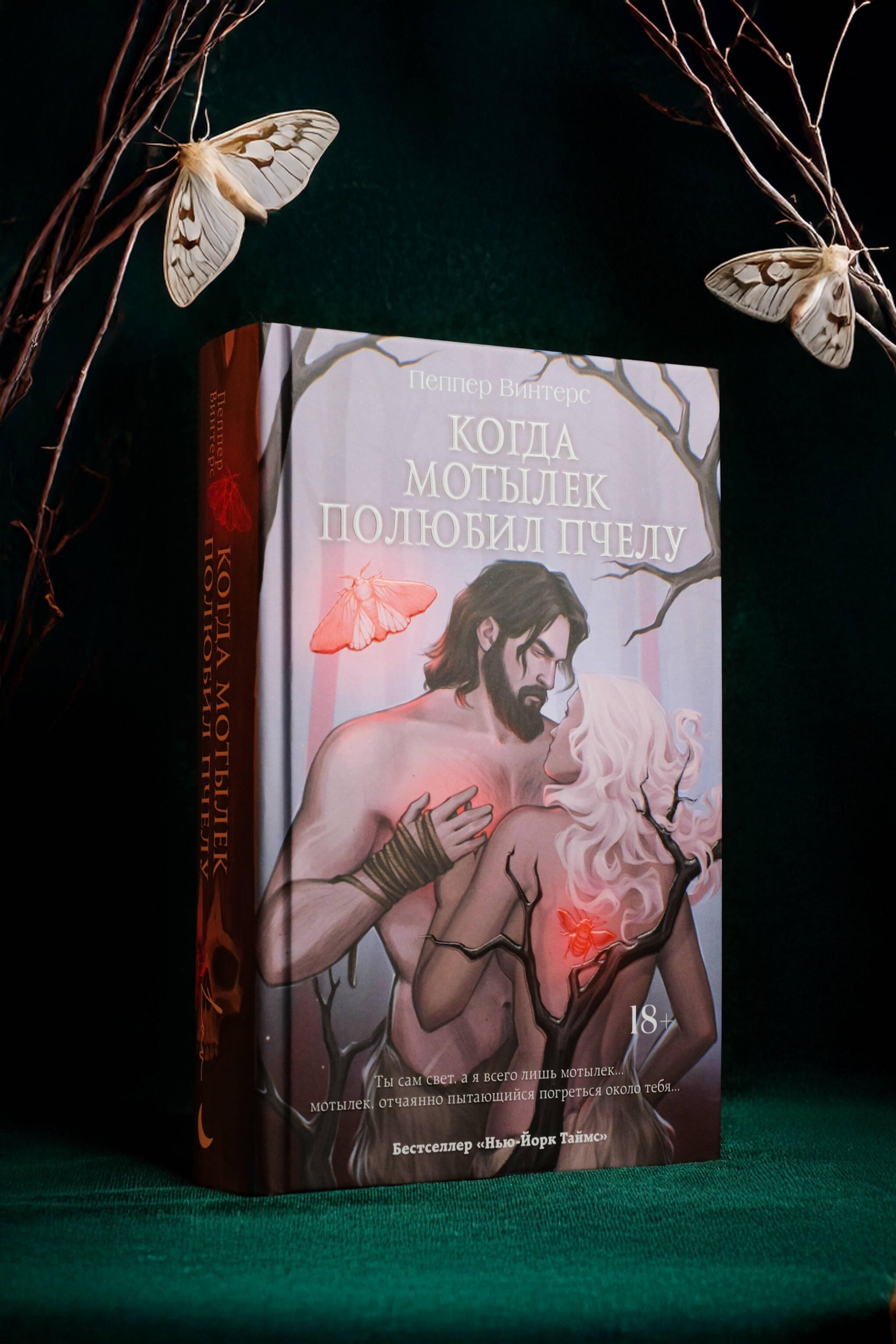Изображение бумажной книги