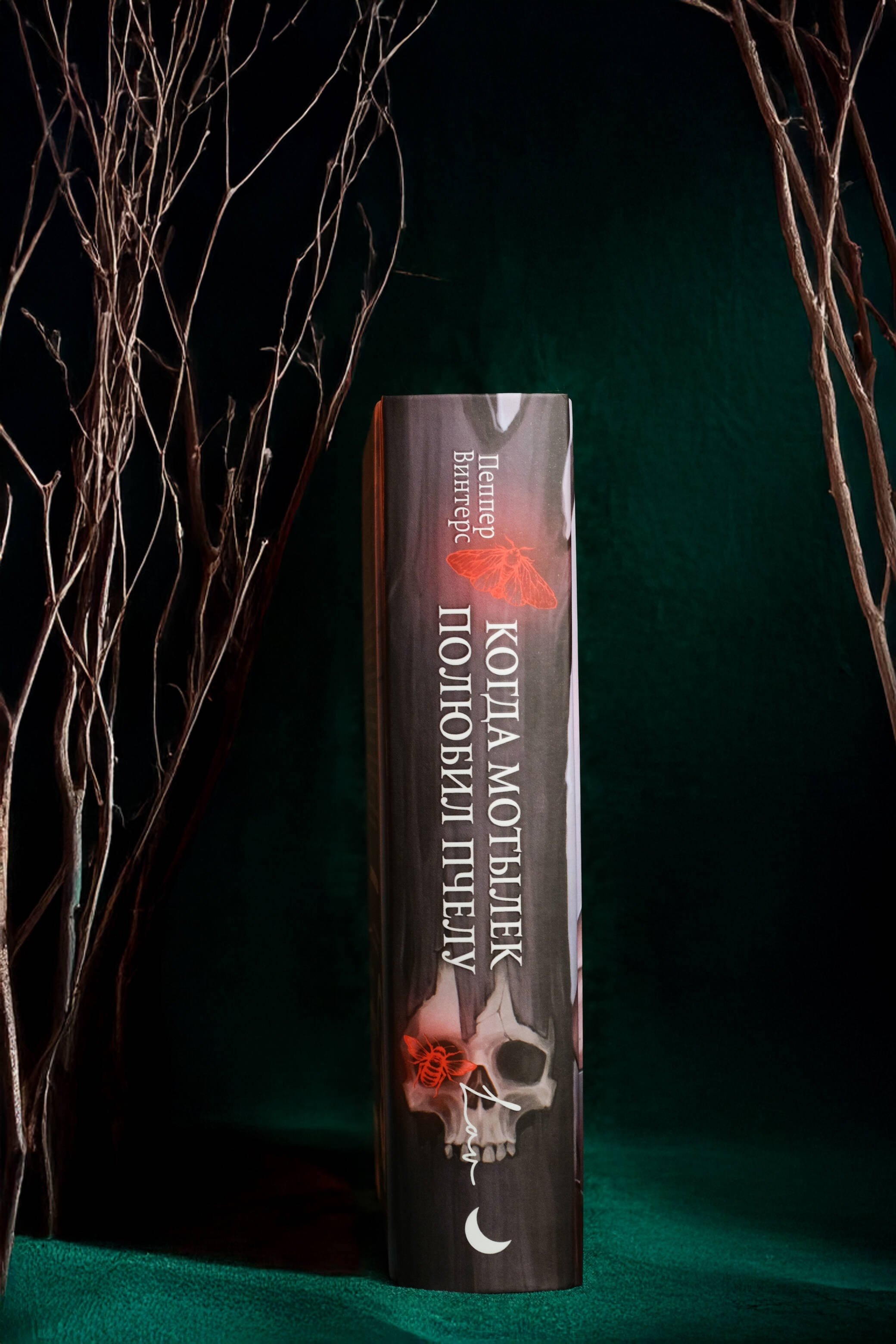 Изображение бумажной книги