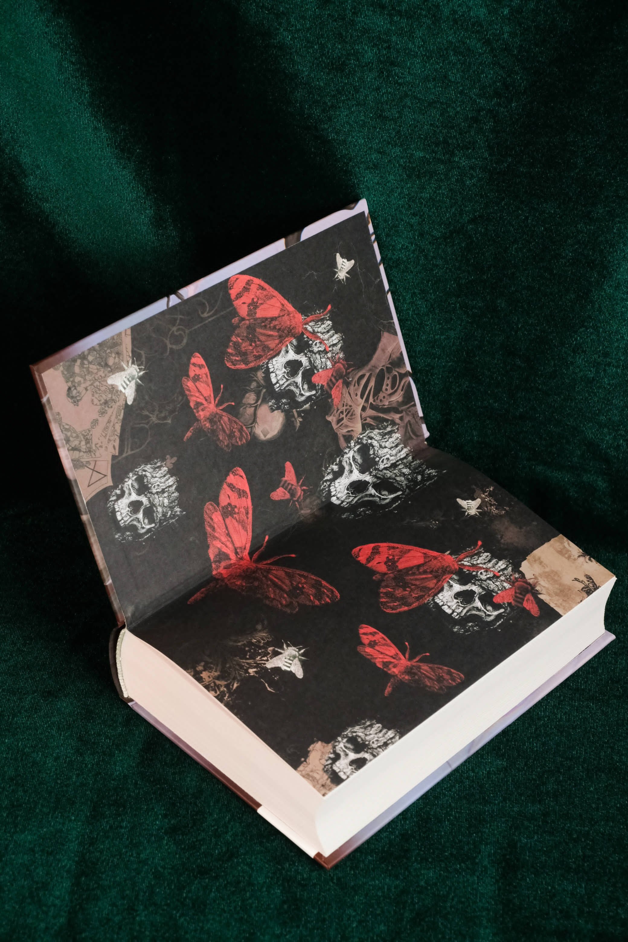 Изображение бумажной книги