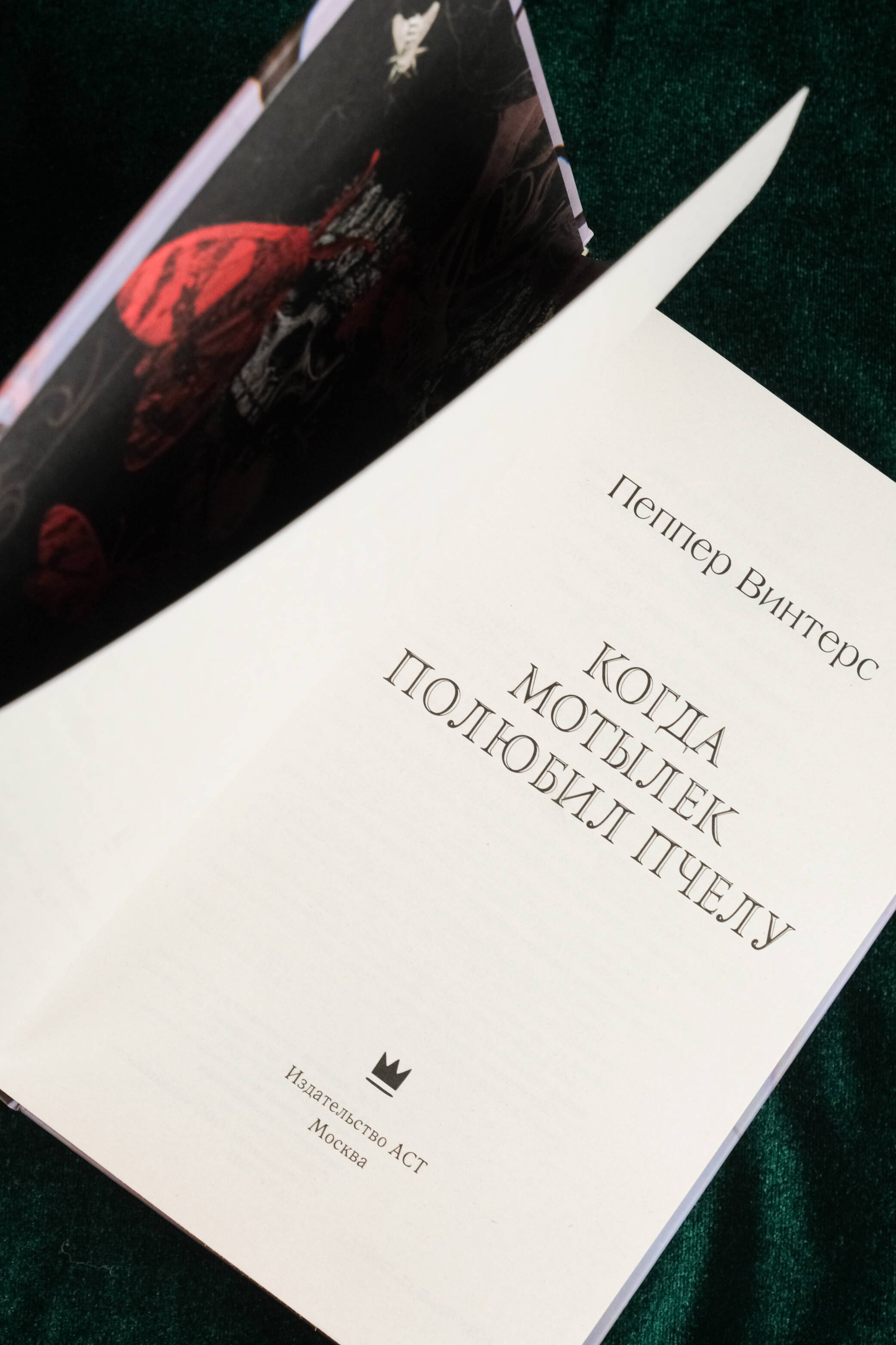 Изображение бумажной книги