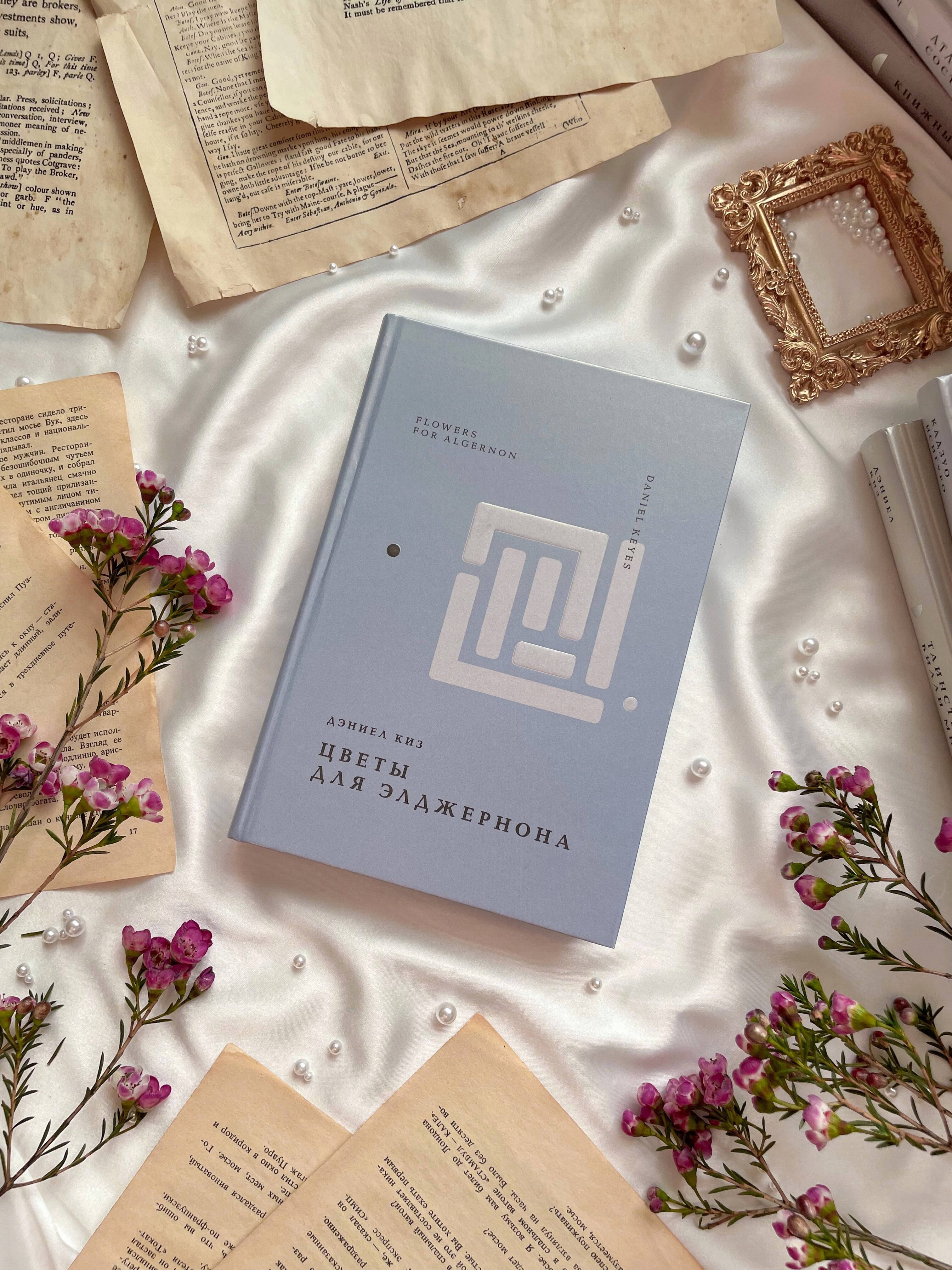 Изображение бумажной книги