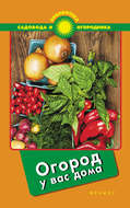 Огород у вас дома