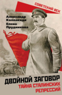 Двойной заговор. Тайны сталинских репрессий