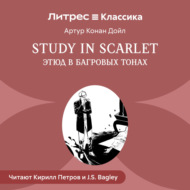 Study in Scarlet /Этюд в багровых тонах