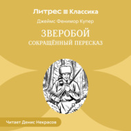 Зверобой (сокращенный пересказ)