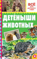 Детёныши животных