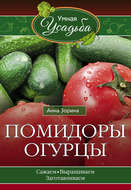 Помидоры, огурцы