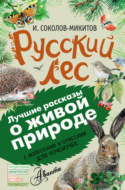 Русский лес. С вопросами и ответами для почемучек