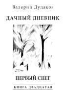 Дачный дневник. Первый снег. Книга двадцатая