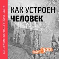 Как устроен человек