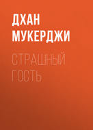 Страшный гость