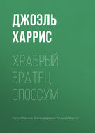 Храбрый Братец Опоссум