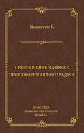 Приключения в Африке. Приключения юного раджи (сборник)