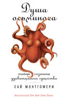 Душа осьминога
