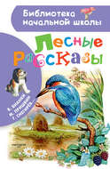 Лесные рассказы