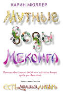 Мутные воды Меконга