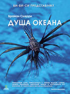 Душа океана