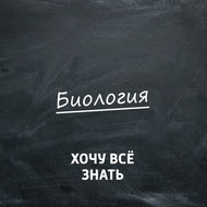 Биология. Почему мы зеваем, моргаем и потягиваемся?