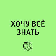Какие внешние факторы влияют на успеваемость ребенка