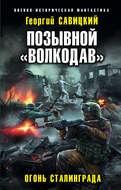 Позывной «Волкодав». Огонь Сталинграда