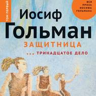 Защитница. Тринадцатое дело