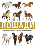 Лошади