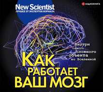 Как работает ваш мозг