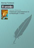 В шкафу